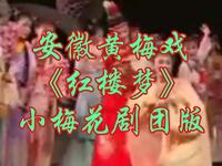 黄梅戏《红楼梦》全剧下载 - 小梅花剧团青春版经典戏曲资源