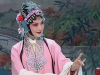 黄梅戏《罗帕记》全剧下载吴亚玲黄新德主演传统经典戏曲资源