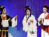 越剧《梨花情》全剧下载_陈晓红陈雪萍主演_杭州越剧院经典佳作