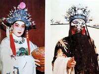 越剧《狸猫换太子》完整版下载 - 贾小萍王凤鸣领衔主演经典戏曲资源