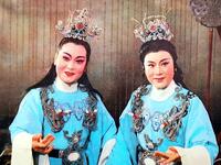 越剧《真假赵玉麟》完整版下载 - 筱月英邵文娟主演高清戏曲资源