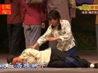 现代京剧《平原作战》全集下载｜字幕版高清资源，抗战经典戏曲免费获取