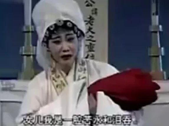 党玉倩主演豫剧《绣花女传奇》全场戏下载 - 经典河南地方戏完整资源