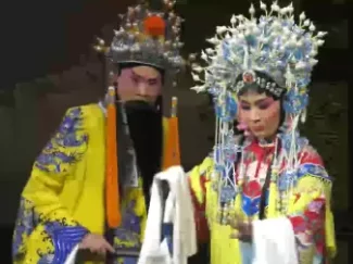 豫剧《打金枝》全场戏在线观看，刘忠河王凤银经典演绎，豫东调代表剧目下载