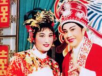 越剧《西园记》全剧高清下载｜徐玉兰王文娟经典演绎，越剧爱好者必存