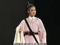 双婿案
