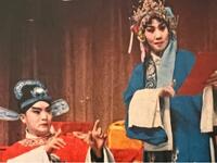 豫剧《陈三两爬堂》全场高清下载|张宝英经典演绎,完整剧情资源速领 豫剧《陈三两爬堂》全场高清下载|张宝英经典演绎,完整剧情资源速领