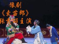 豫剧《卖苗郎》全场高清下载 - 张秀丽领衔河南豫剧院二团经典演绎