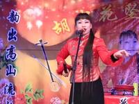 河南坠子《包公案》全集下载｜胡中花经典演唱，畅享包公断案传奇
