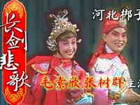 河北梆子《长剑悲歌》全剧下载，毛素欣张树群主演，高清完整版资源速取