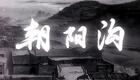 豫剧老版《朝阳沟》全集下载现代经典戏曲，重温知识青年扎根农村的奋斗故事