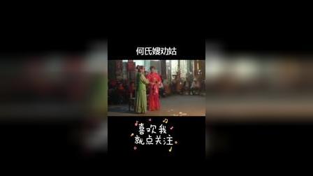 豫南光山花鼓戏《何氏嫂劝姑》全集下载，经典下载