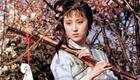 河南大调曲子《红楼梦黛玉葬花》梁丽超演唱，经典红楼戏曲在线下载