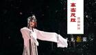 山东茂腔柳腔五音戏柳琴戏扽(灯)腔全集下载,地方传统戏曲资源一站式获取 山东茂腔柳腔五音戏柳琴戏扽(灯)腔全集下载,地方传统戏曲资源一站式获取