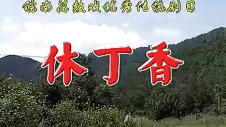 皖南花鼓戏《休丁香》全集下载，经典传统戏曲，感人剧情在线获取