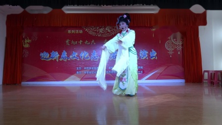 洪山戏《他说花好盆不好》杨宗菊演唱，经典片下载