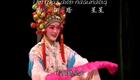 北路壮剧《金童玉女开台》高清下载|配壮文字幕 传统开台仪式剧资源 北路壮剧《金童玉女开台》高清下载|配壮文字幕 传统开台仪式剧资源