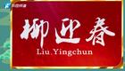 柳迎春