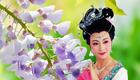 越剧《虫娘》完整版下载 - 刘志霞王桂萍领衔主演 经典越剧全剧资源下载