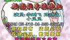 新傻柱子接媳妇