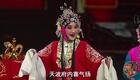 蒲剧《杨家将》全本下载 - 经典忠勇传奇戏曲资源在线观看