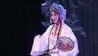 秦腔《火焰驹》全本在线下载，苏凤丽经典演绎，不容错过下载