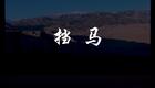 汉调桄桄经典折子戏《挡马》在线下载杨八姐下载 汉调桄桄经典折子戏《挡马》在线下载杨八姐下载