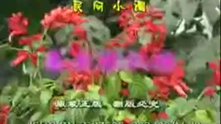 民间小调《恶老婆扒媒》全集下载｜家庭伦理剧情资源 高清完整版速取