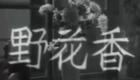 粤剧《野花香》马师曾红线女经典演出在线观看下载