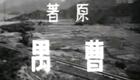 原野