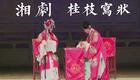 湘剧经典《桂枝写状》全折资源下载,《贩马记》精彩片段,传统戏曲珍藏 湘剧经典《桂枝写状》全折资源下载,《贩马记》精彩片段,传统戏曲珍藏