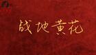 新编红色晋剧《战地黄花》全集高清下载，郑芳芳领衔主演抗战英雄故事