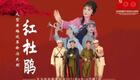 黄梅戏《红杜鹃》高清完整版下载 - 经典革命题材戏曲资源 黄梅戏《红杜鹃》高清完整版下载 - 经典革命题材戏曲资源