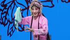评剧经典《花为媒》全剧下载 - 王丽京等名家演绎，高清完整版资源