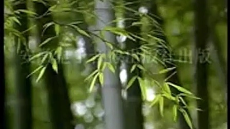 庐剧《恶婆娘》上集在线下载经典家庭矛盾戏曲资源 庐剧《恶婆娘》上集在线下载经典家庭矛盾戏曲资源