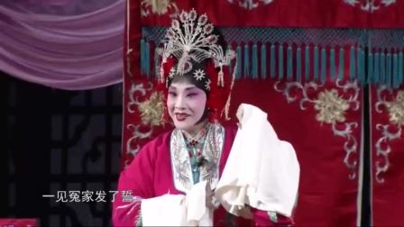 豫剧《泪洒相思地》全场戏在线观看，苗文华马艳青张宁主演，经典悲剧高清下载下载
