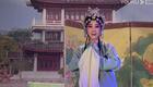 豫剧经典《大祭桩》张慧演唱版下载资源 - 忠义故事戏曲全集