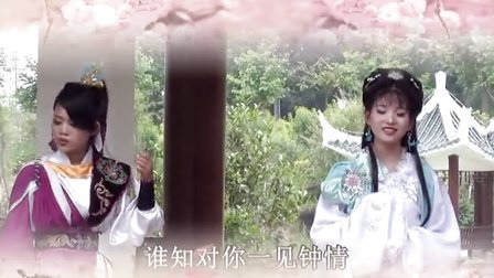 梨花飞落