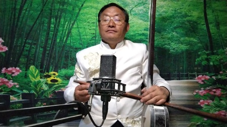 河南坠子《郭举埋儿》赵百坤演唱，经典孝道故事全本在线收听