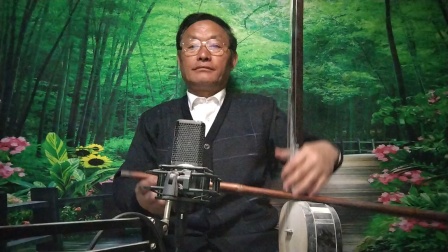 河南坠子《刘云打母》赵百坤演唱 经典传统戏曲在线下载