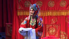 山东梆子经典《宇宙锋》片段下载王荣花演绎下载 山东梆子经典《宇宙锋》片段下载王荣花演绎下载