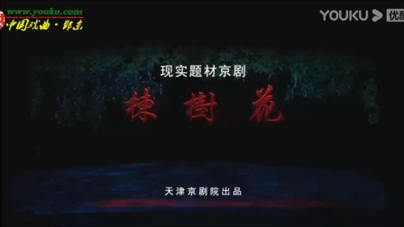 京剧《楝树花》完整版下载 - 王平吕洋主演守岛题材经典京剧资源下载