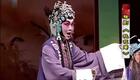 豫剧《桃花庵》全集高清下载 苗文华陈春霞主演 经典传统剧目在线获取下载