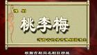 豫剧《桃李梅》全集高清下载金不换、徐福先经典演绎明朝才女智斗贪官抗婚名段