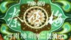 豫剧《秦雪梅》全场高清下载，阎立品经典演绎，不容错过的戏曲盛宴
