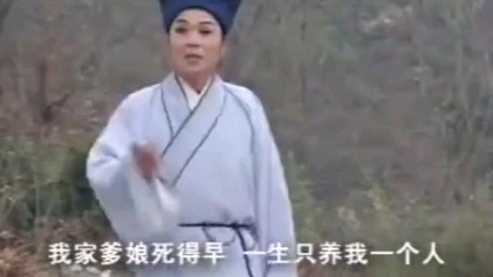 庐剧《黑鱼精》单单小侉主演,地方戏曲经典,在线观看下载 庐剧《黑鱼精》单单小侉主演,地方戏曲经典,在线观看下载