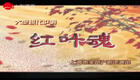 沪剧《红叶魂》全剧下载 - 华雯主演沪剧经典全剧资源在线观看