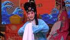 安国老调《哑女告状》吕迎欣演唱,传统戏曲经下载 安国老调《哑女告状》吕迎欣演唱,传统戏曲经下载