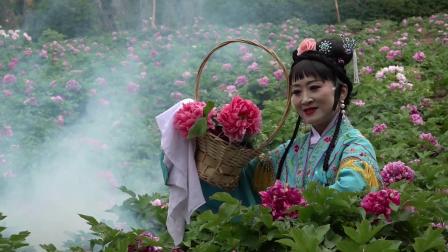 山东枣梆经典《牡丹仙子》刘诗云演唱,非遗剧下载 山东枣梆经典《牡丹仙子》刘诗云演唱,非遗剧下载