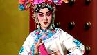 京剧《四郎探母》上集下载 - 中国京剧院二团经典演出资源